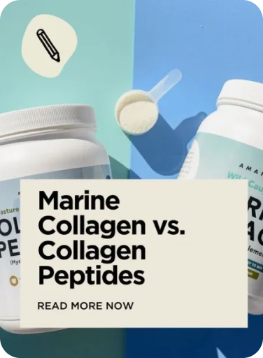 Blog on marine collagen vs collagen peptides